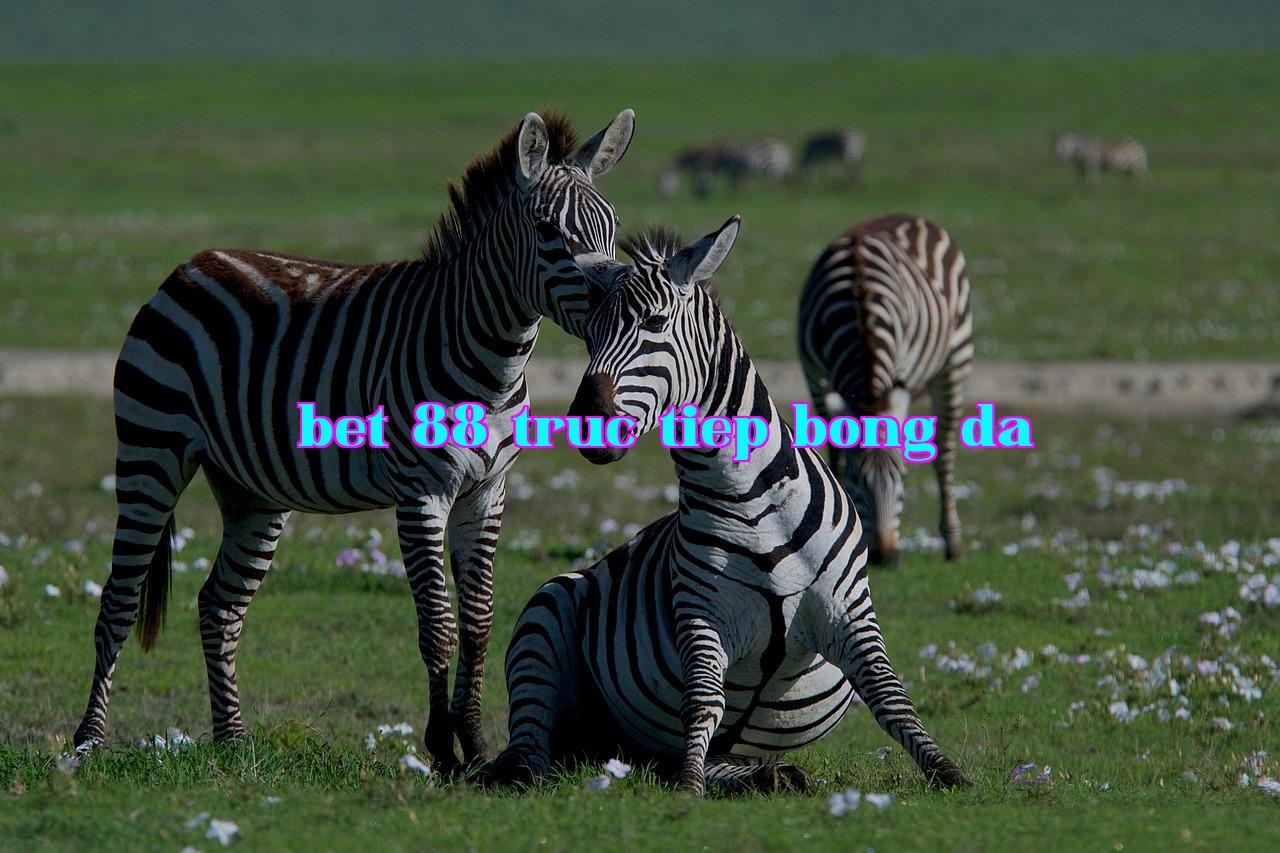 /imgposts/f60ifi2b.jpg