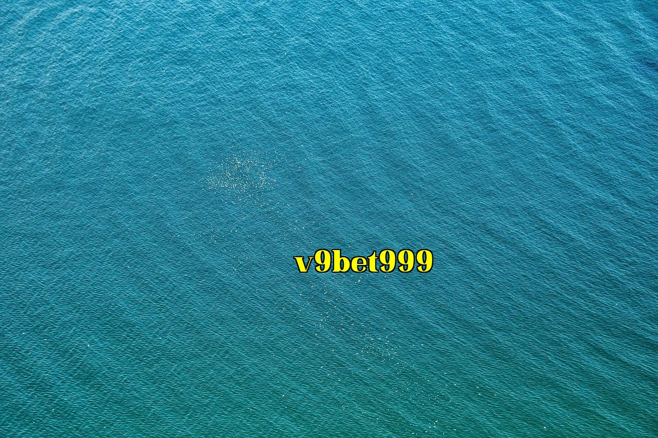 /imgposts/w8sxn191.jpg